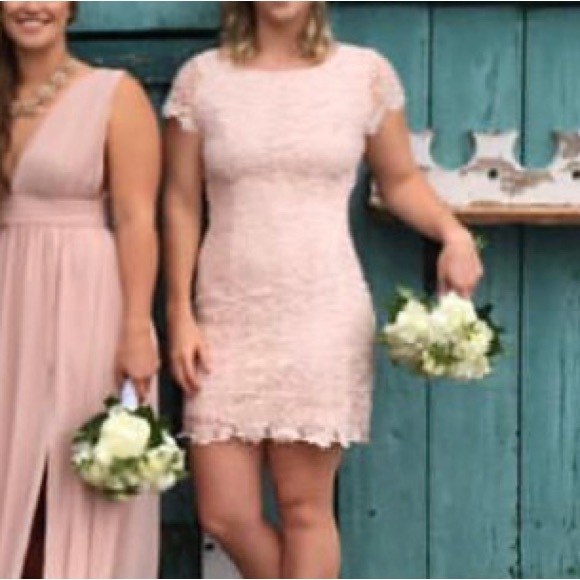 Hidden Talent Backless Blush Lace Dress - Picture 2 of 7